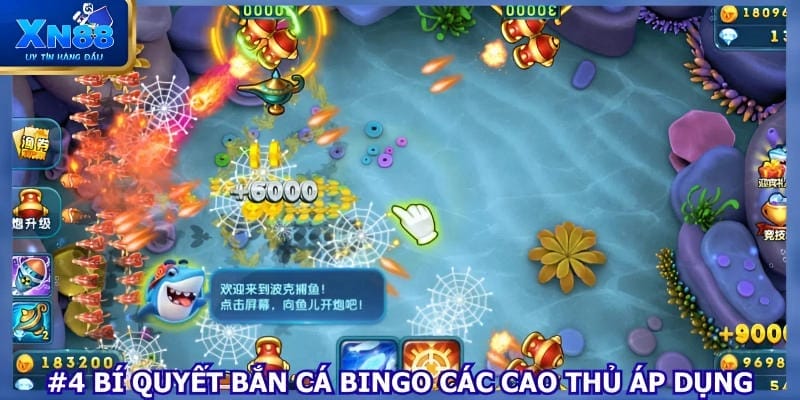 #4 bí quyết bắn cá Bingo các cao thủ áp dụng
