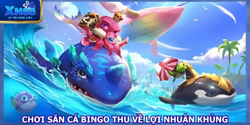 Chơi săn cá Bingo thu về lợi nhuận khủng
